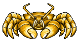 Gold Coconut Crab
