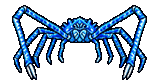 Blue Spider Crab