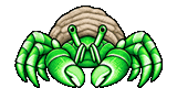 Green Hermit Crab
