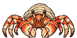 Red Hermit Crab